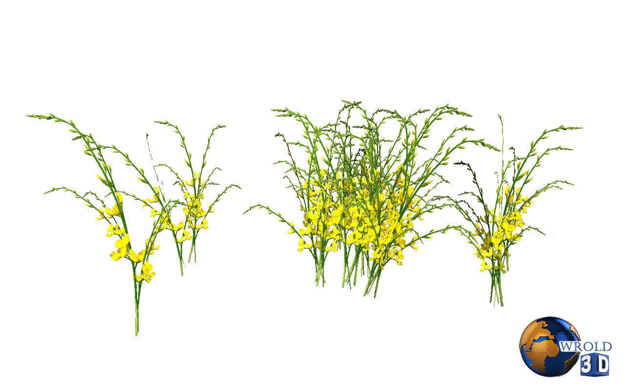 Natural Forest Bush Collection Pack Lowpoly 3D Model Low-poly 3D model_4