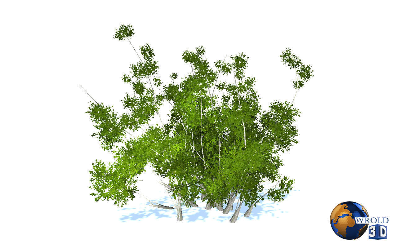 Natural Forest Bush Collection Pack Lowpoly 3D Model Low-poly 3D model_7