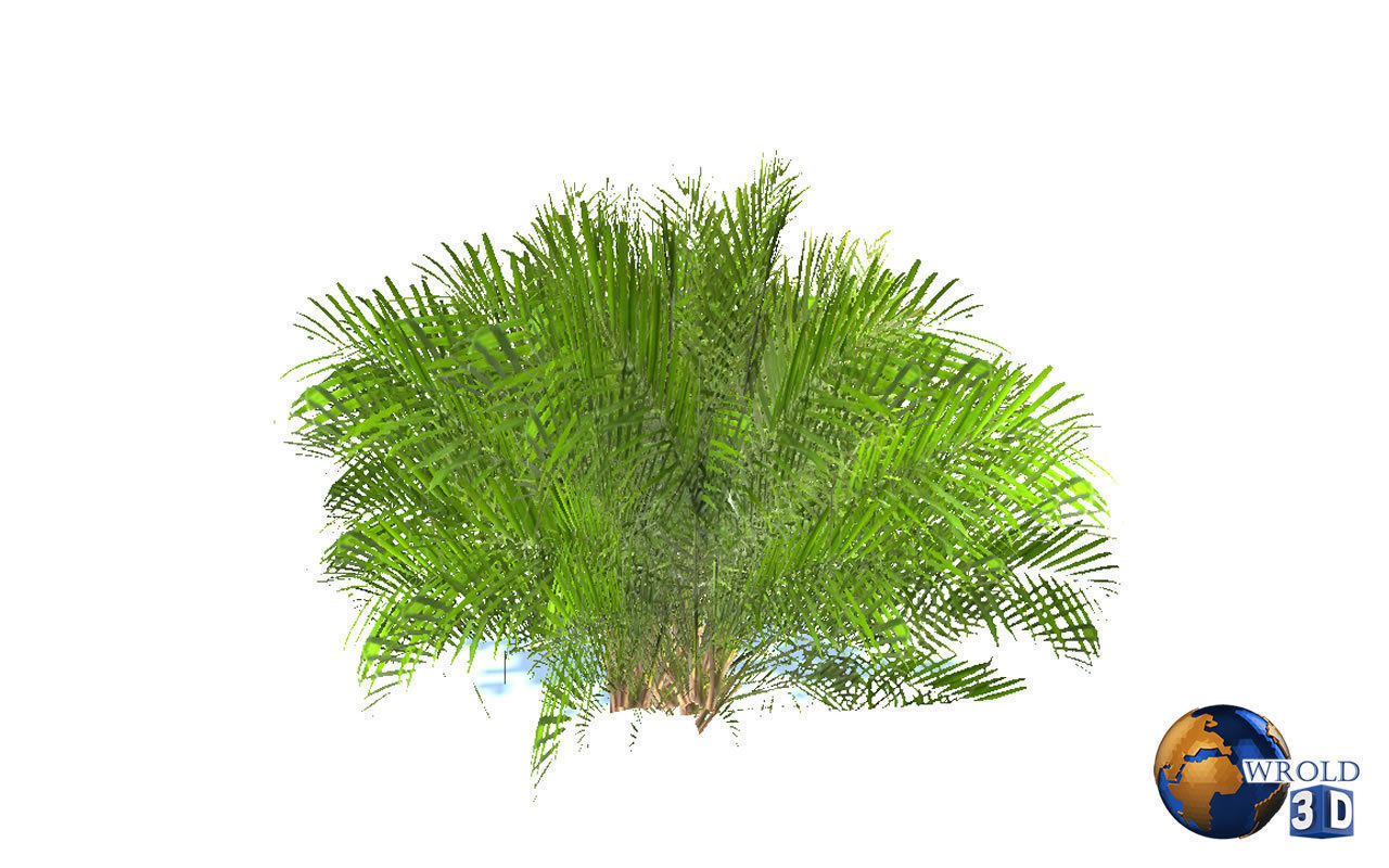 Natural Forest Bush Collection Pack Lowpoly 3D Model Low-poly 3D model_12