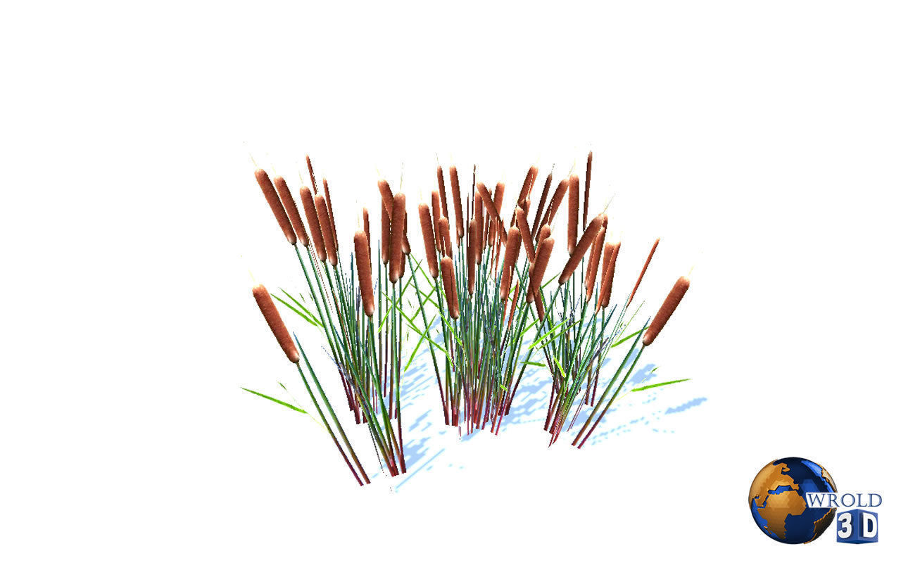 Natural Forest Bush Collection Pack Lowpoly 3D Model Low-poly 3D model_3