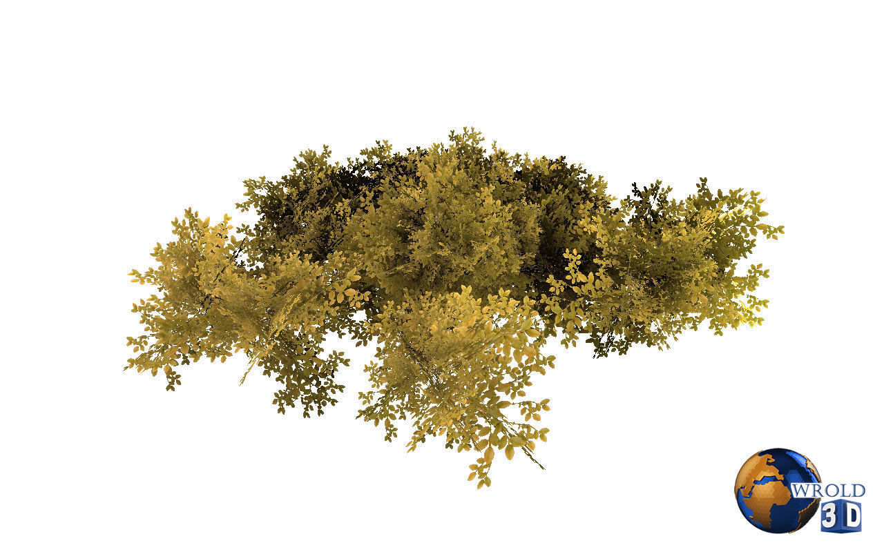 Natural Forest Bush Collection Pack Lowpoly 3D Model Low-poly 3D model_13