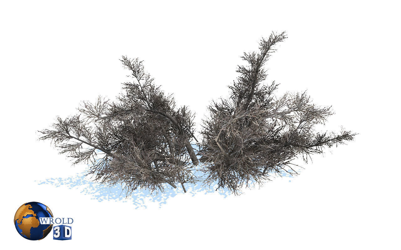 Natural Forest Bush Collection Pack Lowpoly 3D Model Low-poly 3D model_20