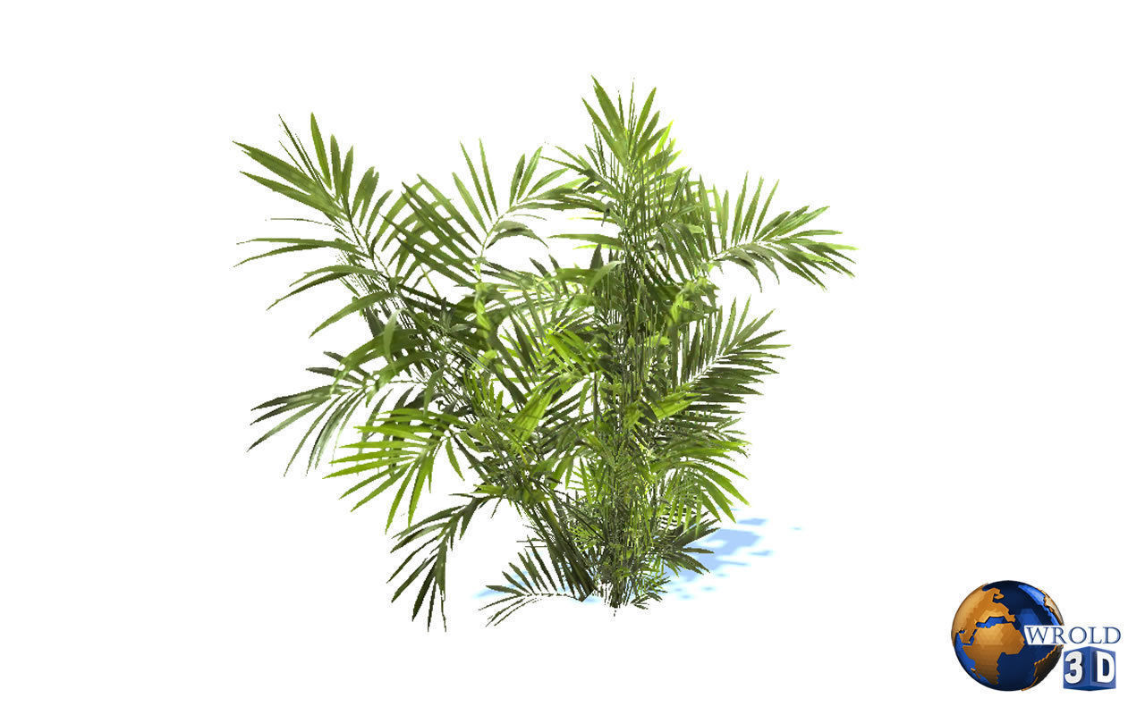 Natural Forest Bush Collection Pack Lowpoly 3D Model Low-poly 3D model_5