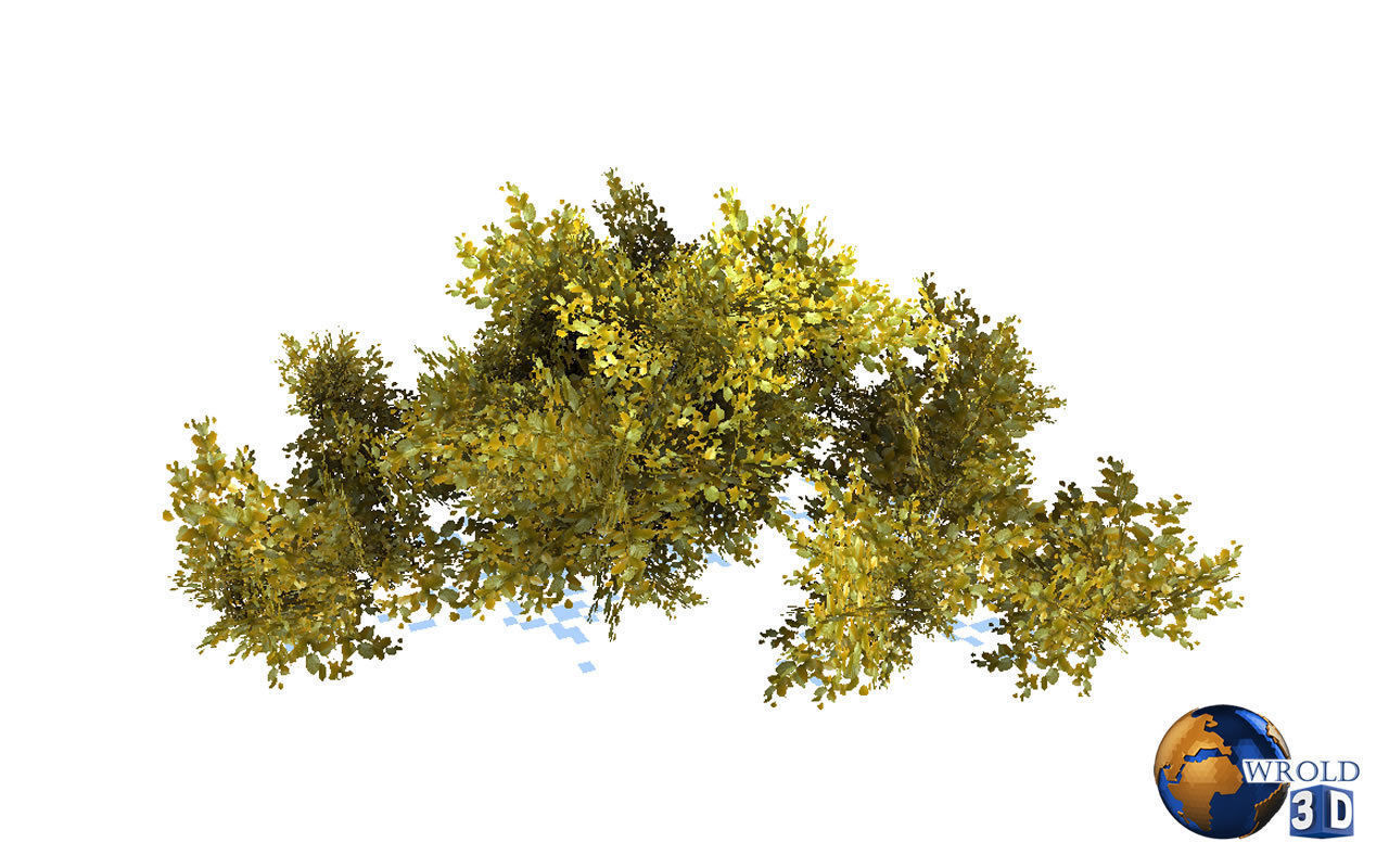 Natural Forest Bush Collection Pack Lowpoly 3D Model Low-poly 3D model_14
