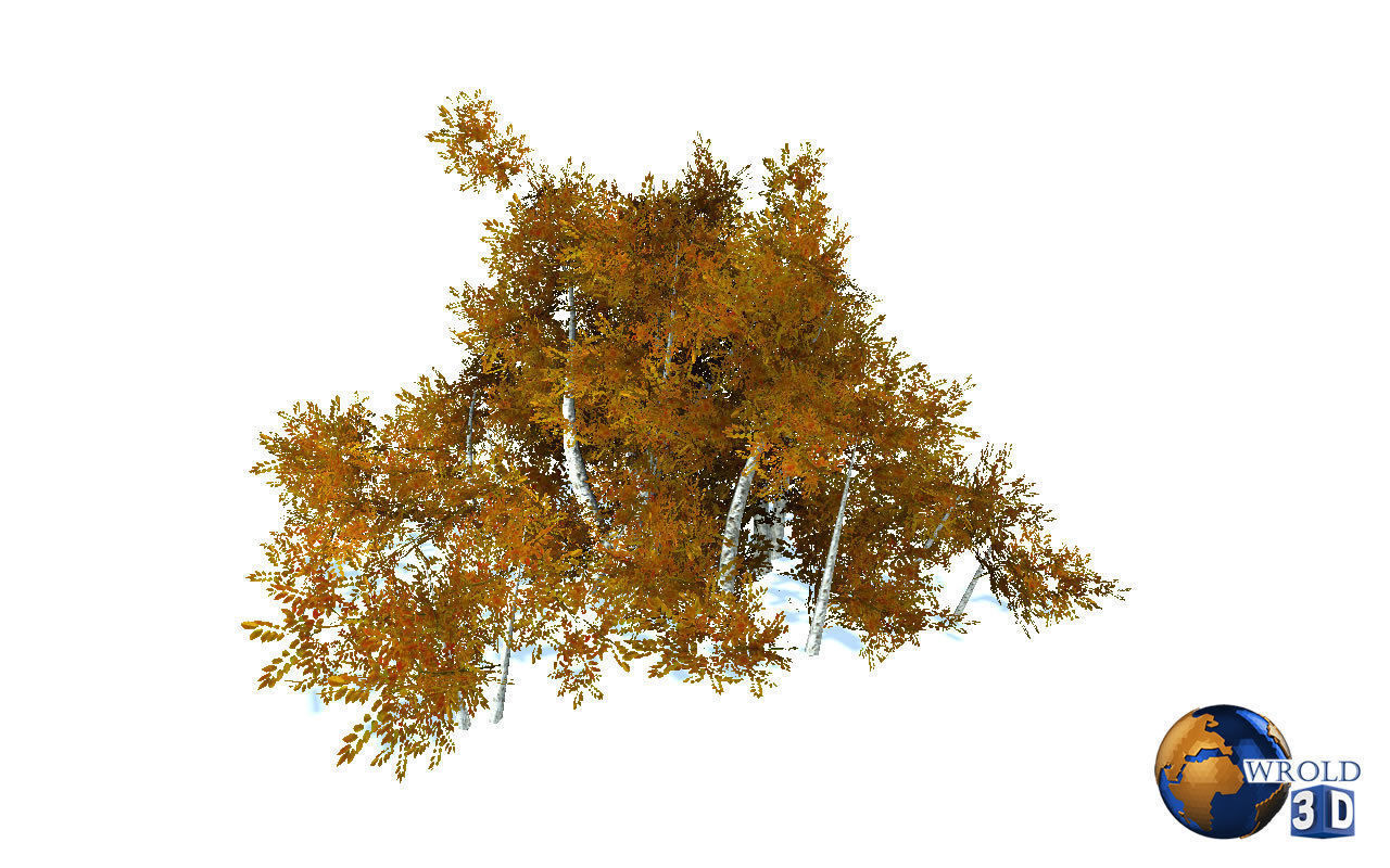 Natural Forest Bush Collection Pack Lowpoly 3D Model Low-poly 3D model_8