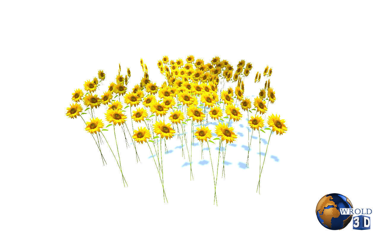 Natural Forest Bush Collection Pack Lowpoly 3D Model Low-poly 3D model_2