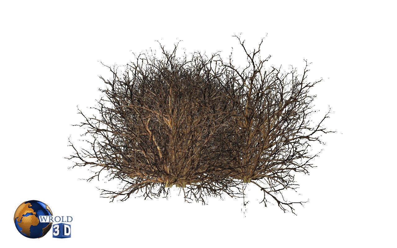 Natural Forest Bush Collection Pack Lowpoly 3D Model Low-poly 3D model_21