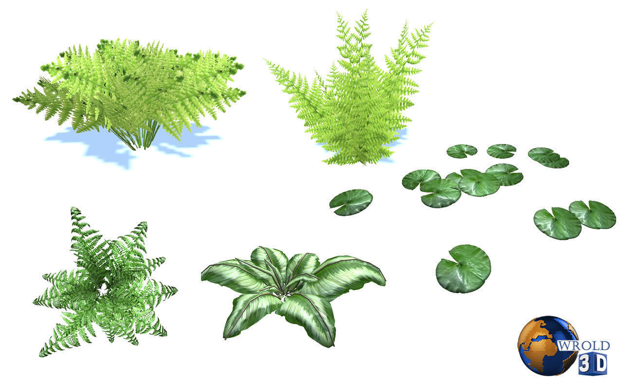 Natural Forest Bush Collection Pack Lowpoly 3D Model Low-poly 3D model_6