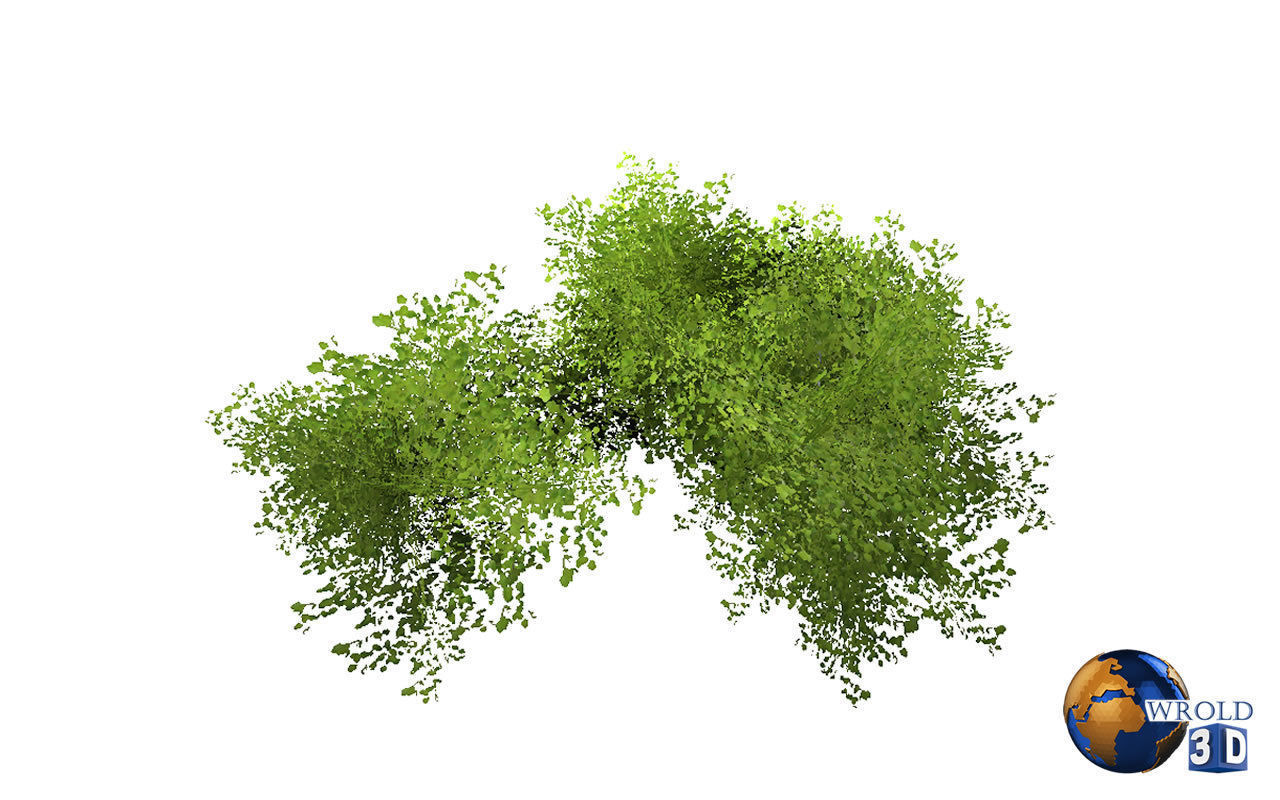 Natural Forest Bush Collection Pack Lowpoly 3D Model Low-poly 3D model_9