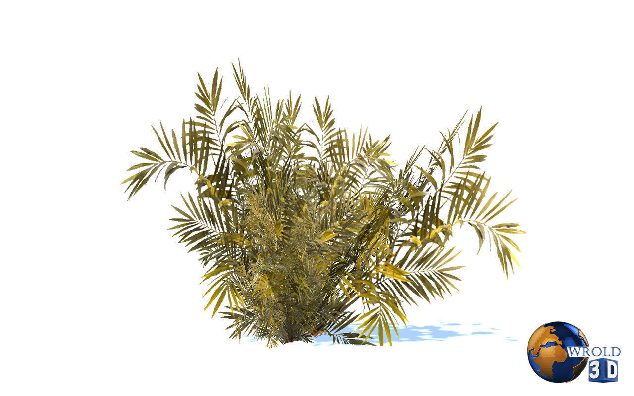 Natural Forest Bush Collection Pack Lowpoly 3D Model Low-poly 3D model_10