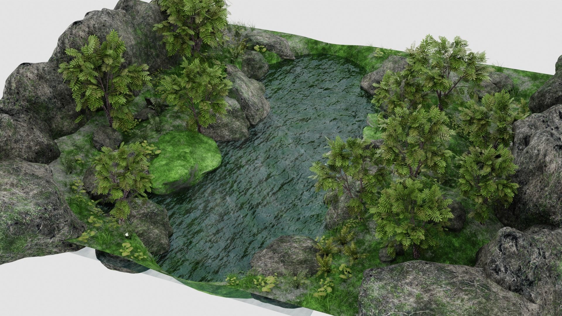 Pond Scene 3D model_13