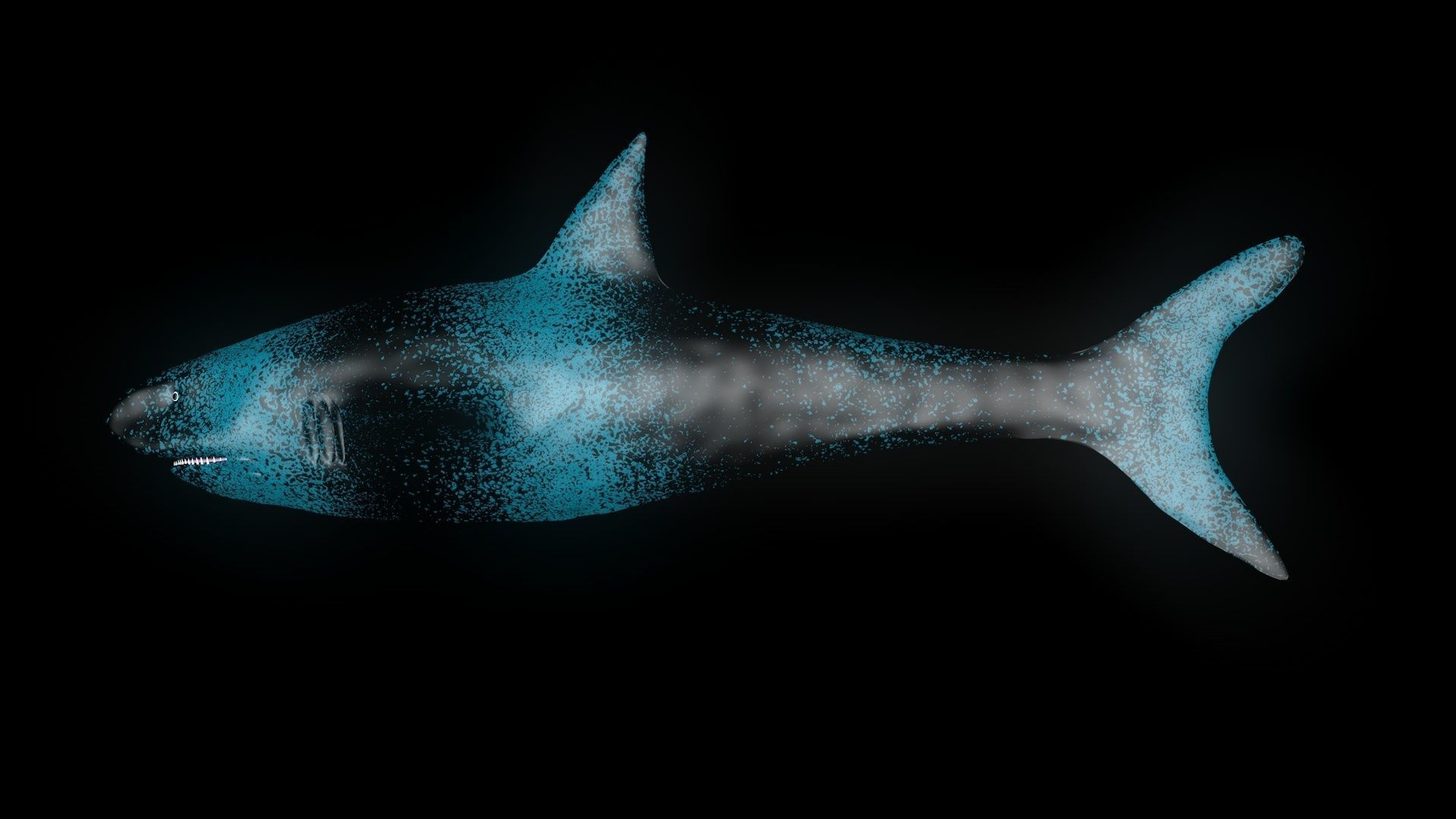 Manipulation Shark 3D Model Cinema4D Low-poly 3D model_3