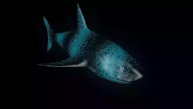 Manipulation Shark 3D Model Cinema4D