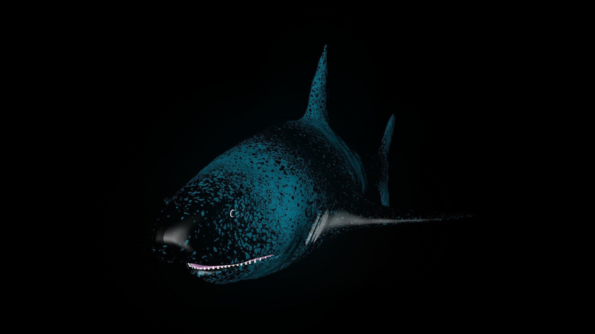 Manipulation Shark 3D Model Cinema4D Low-poly 3D model_2