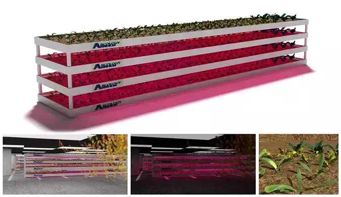 3D Realistic indoor vertical farming Low-poly 3D model