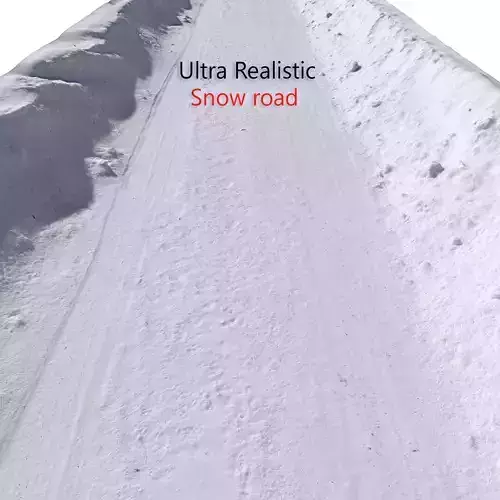 Snow  Road 3D model