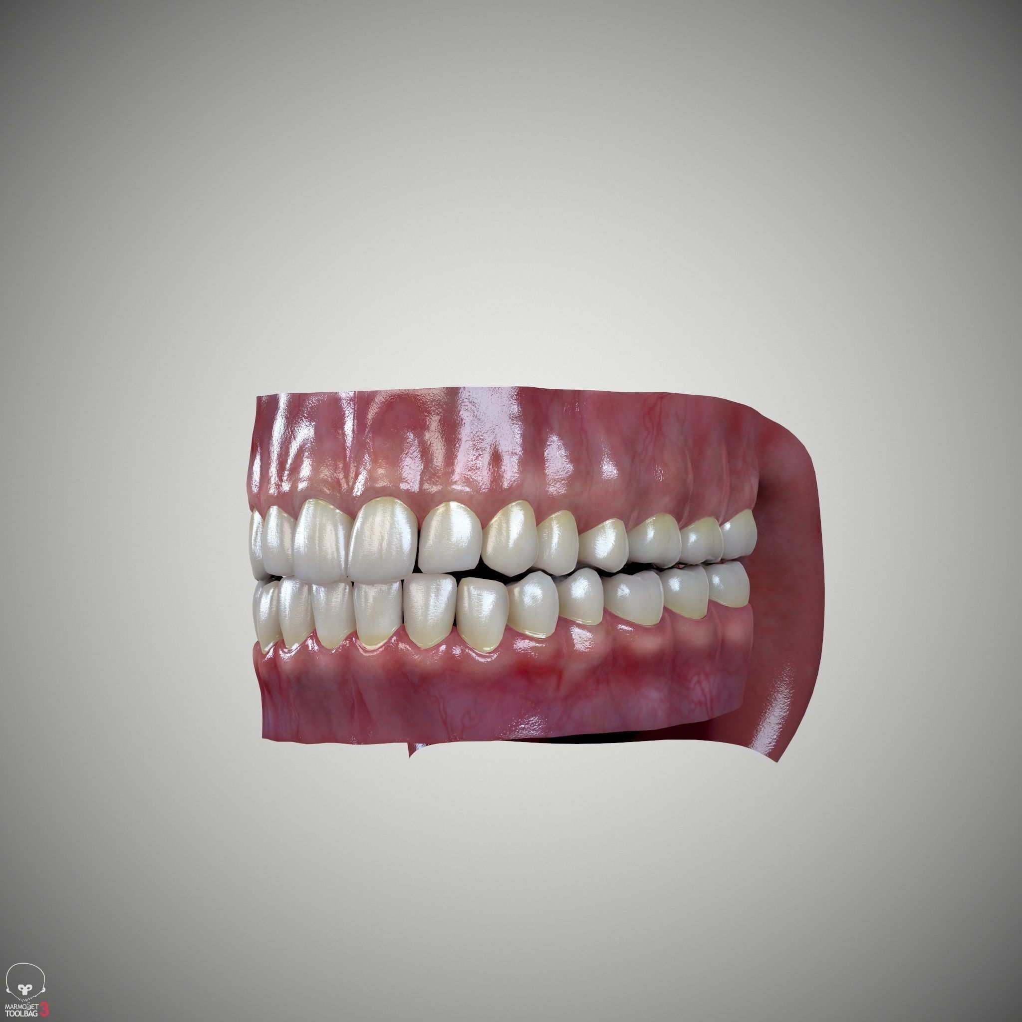 Female Head - Iva - Gen2 Low-poly 3D model_16