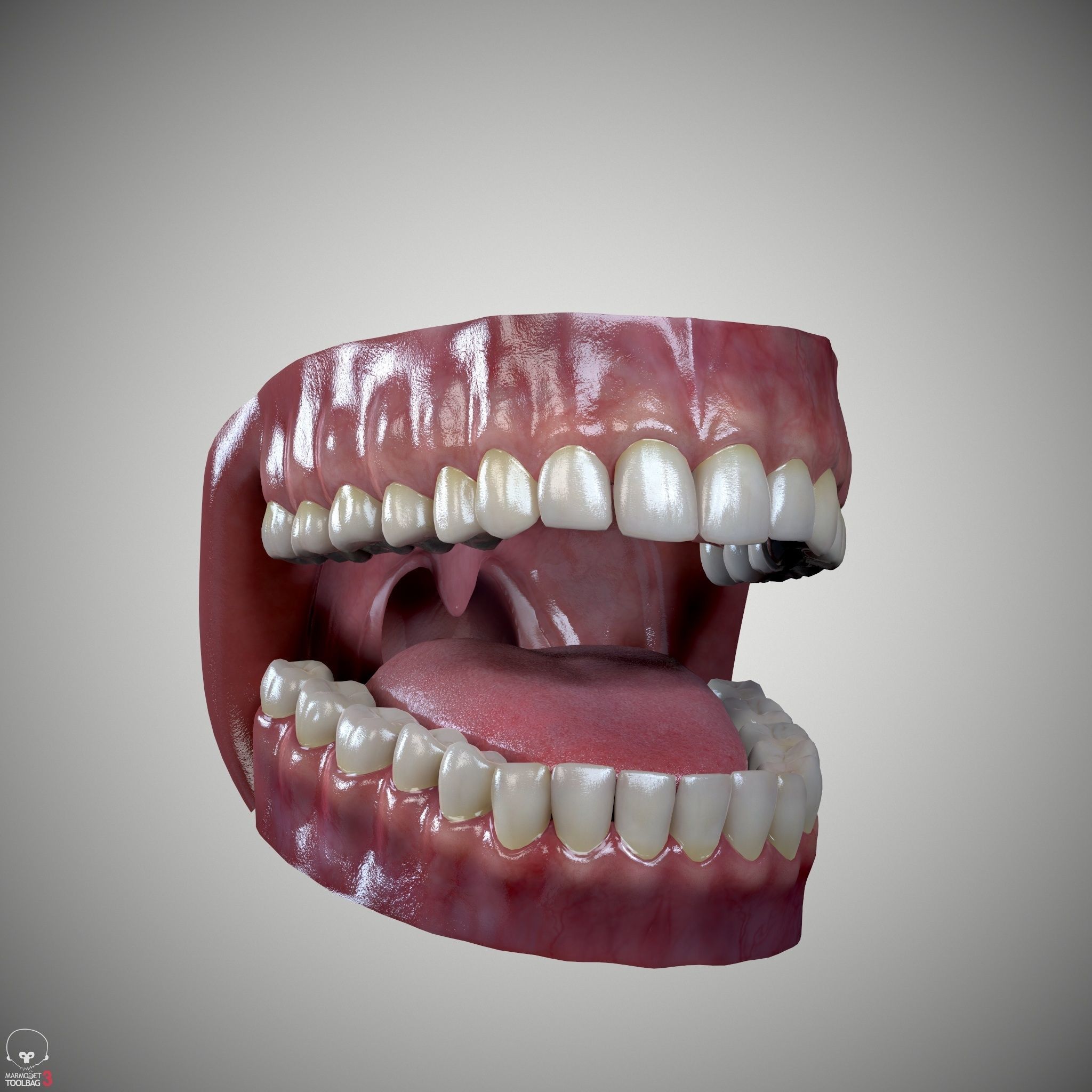Female Head - Iva - Gen2 Low-poly 3D model_17