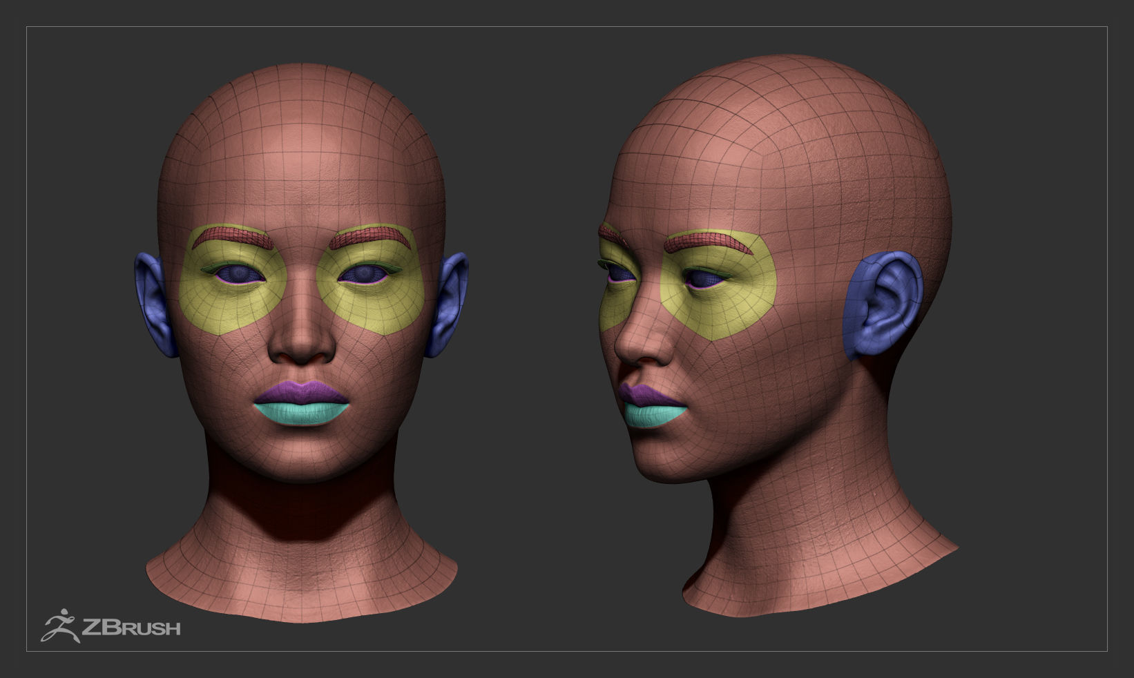 Female Head - Iva - Gen2 Low-poly 3D model_37