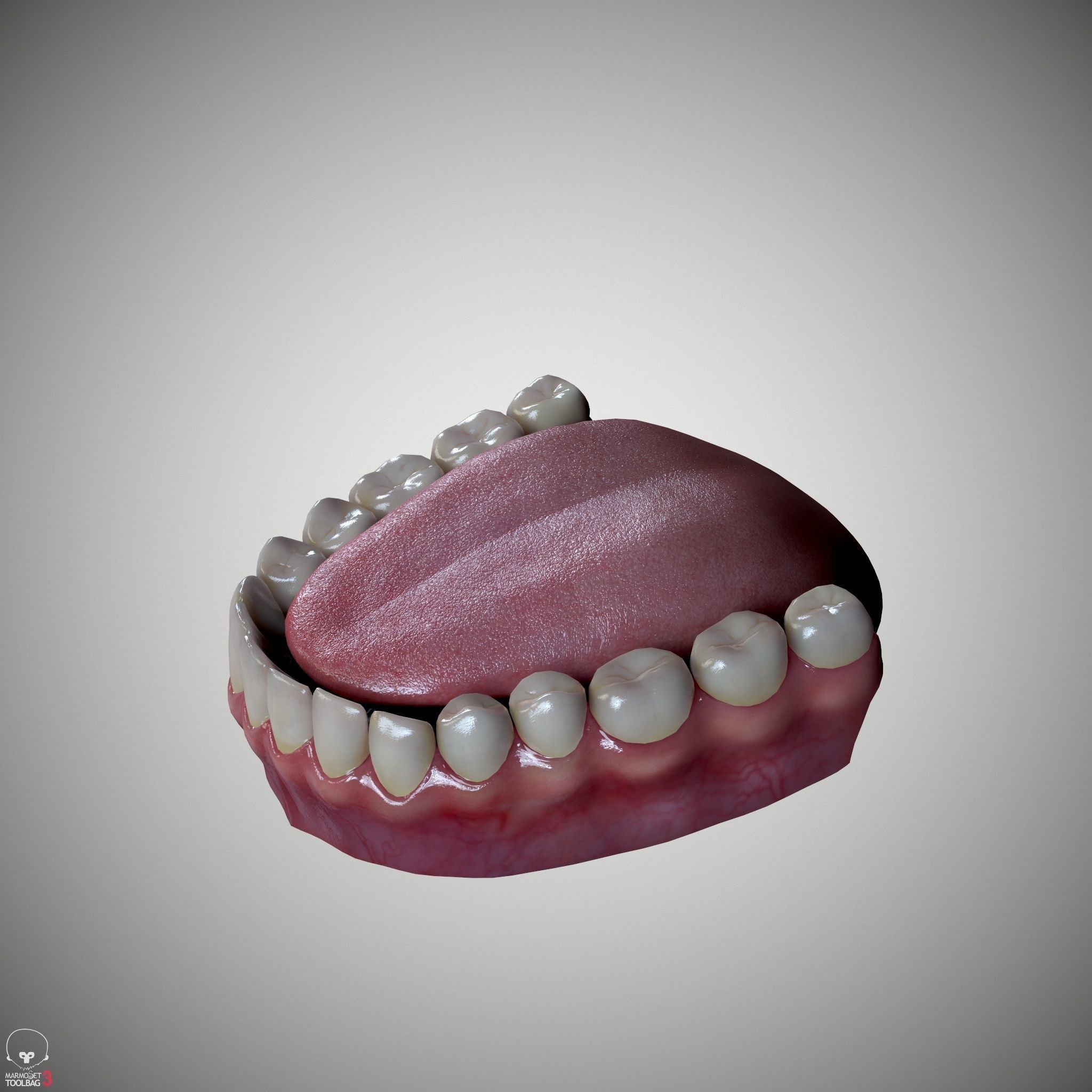 Female Head - Iva - Gen2 Low-poly 3D model_18