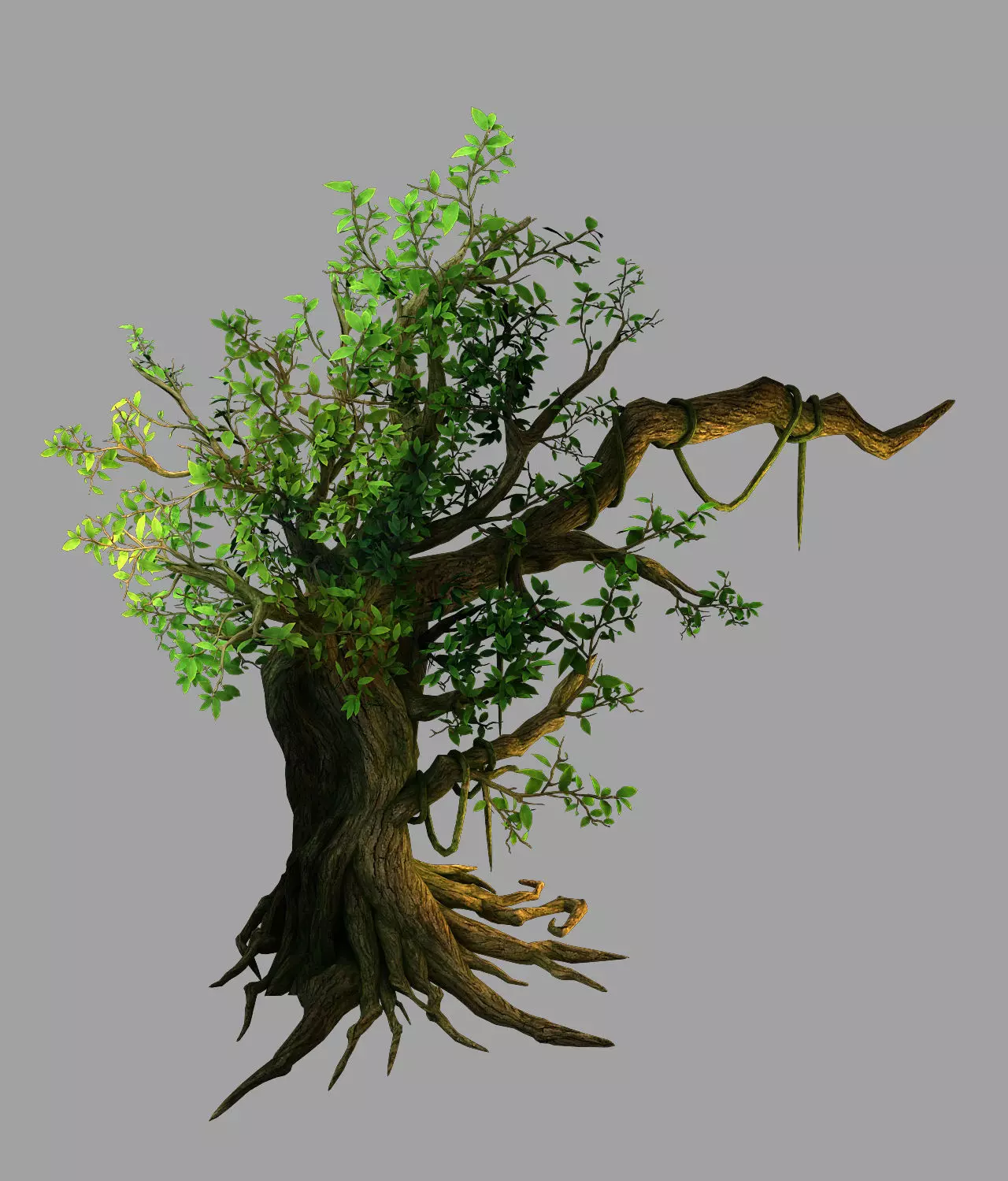 Fernnor Tree Cave - Left Tree 01 3D model_0