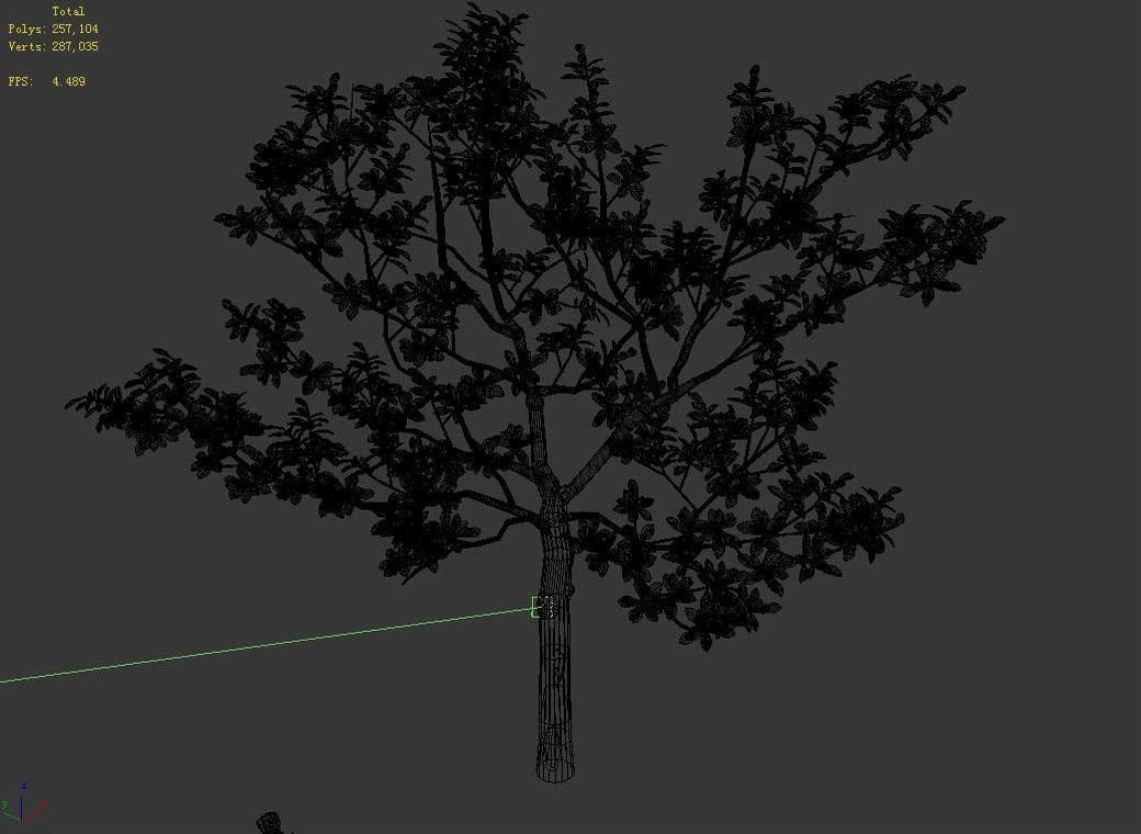 Many leaves - tree 32 3D model_3