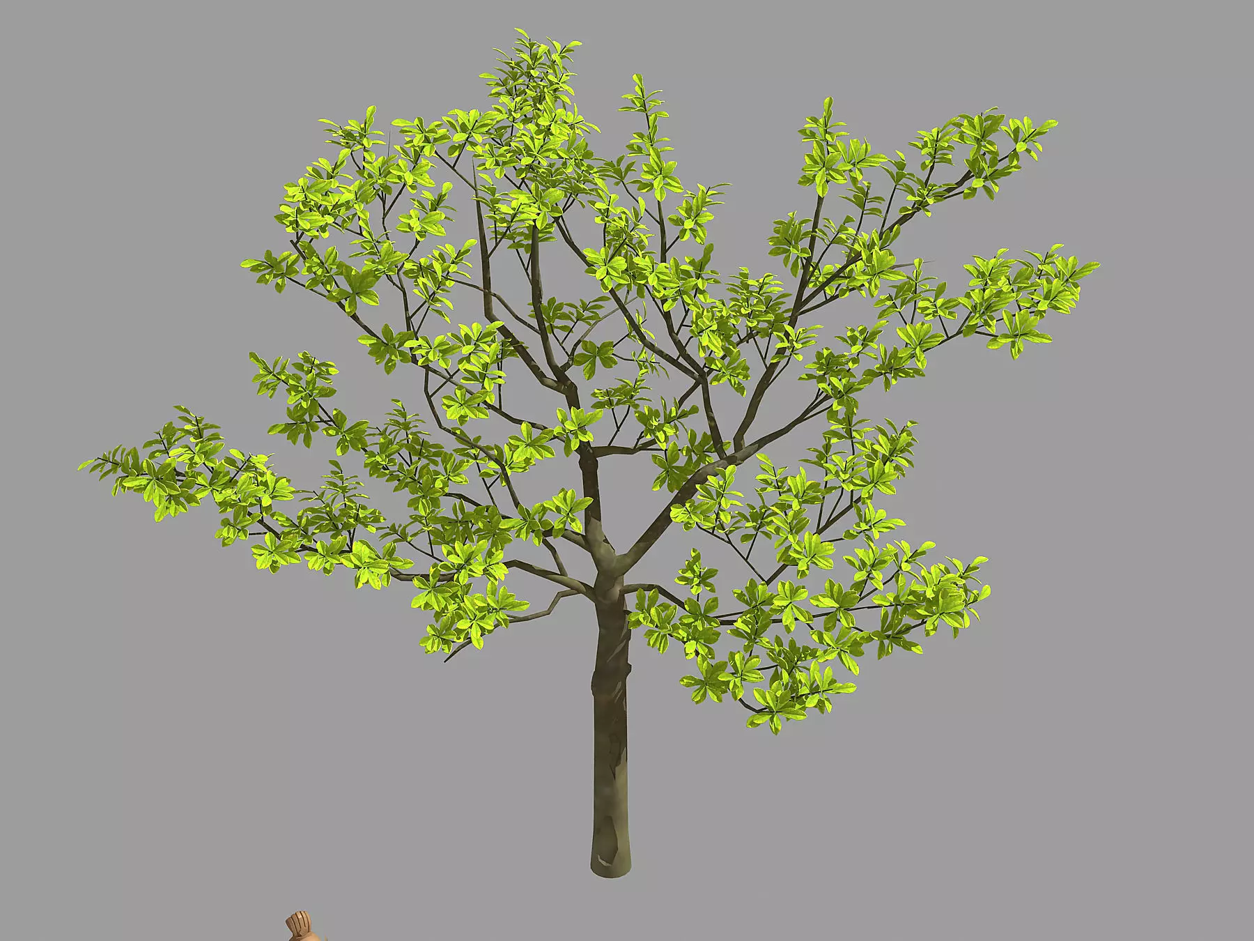 Many leaves - tree 32 3D model_0