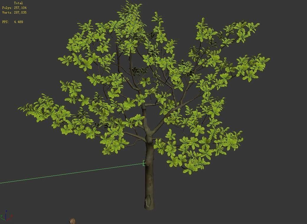 Many leaves - tree 32 3D model_4