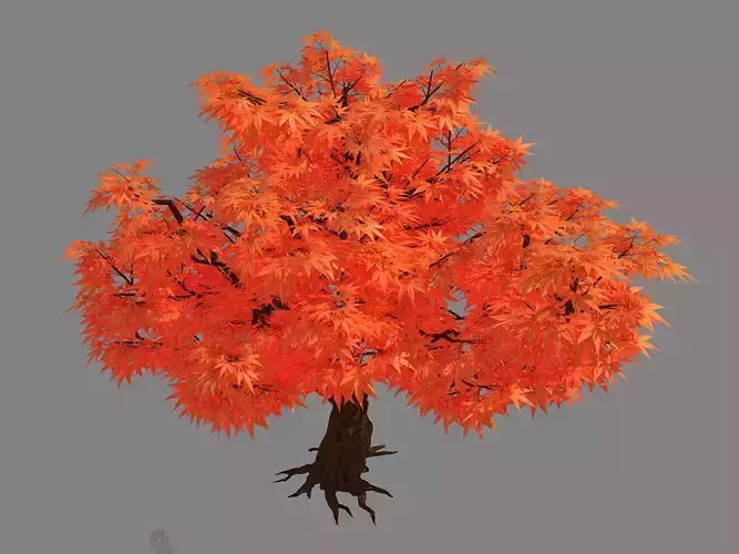 Red Plant - Maple 32