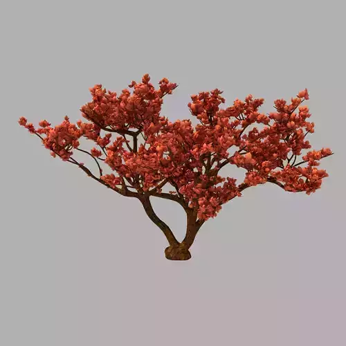 Red Plant - Tree 03