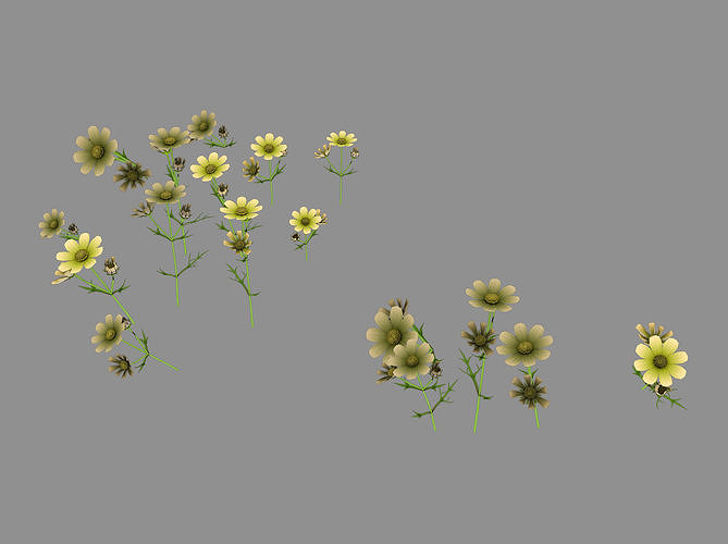 Yellow Flowers 03 3D model