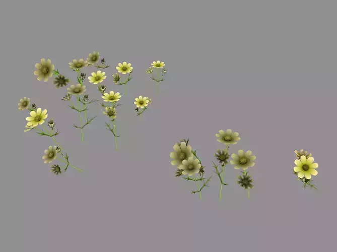 Yellow Flowers 03 3D model