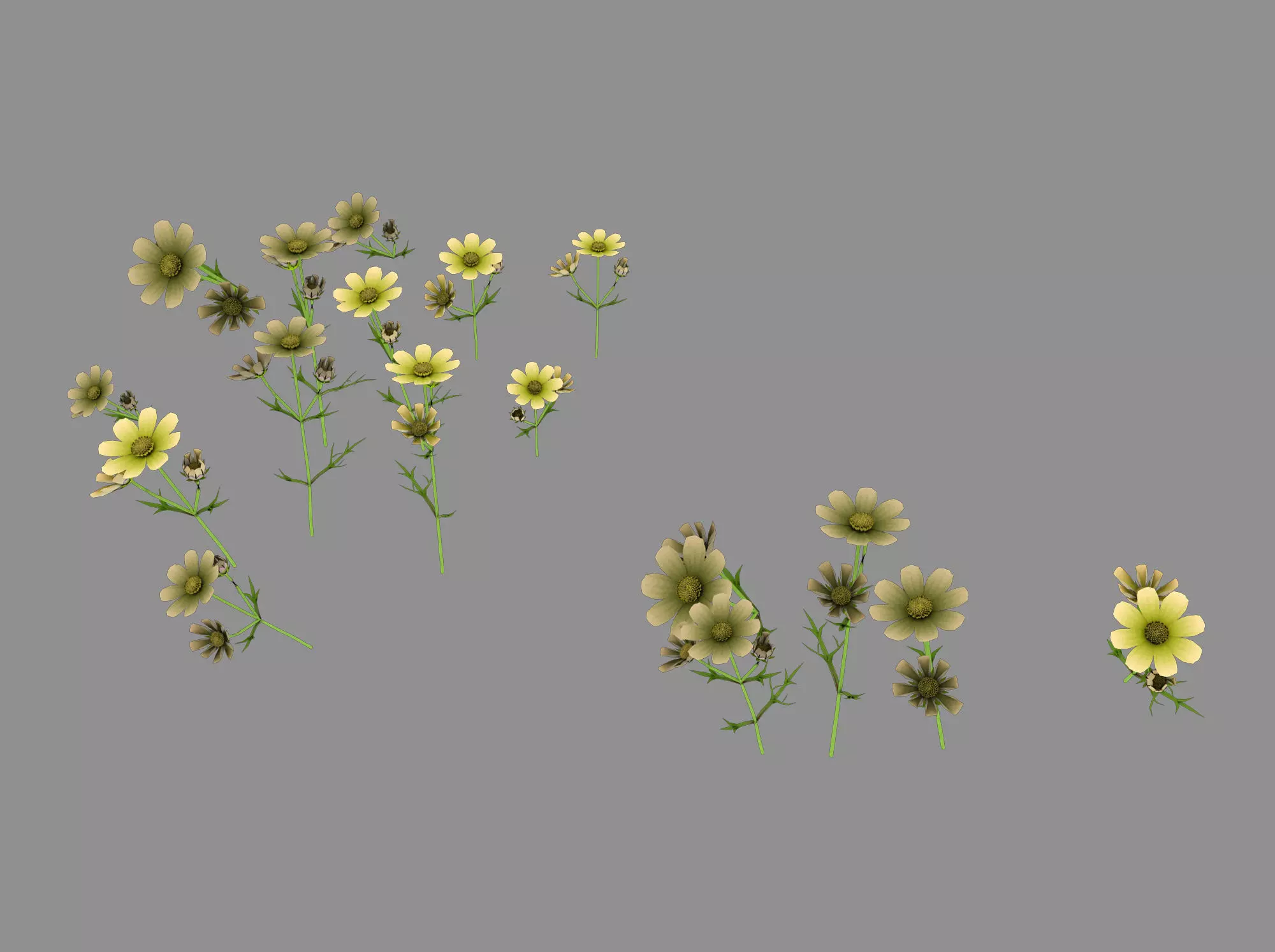 Yellow Flowers 03 3D model_0