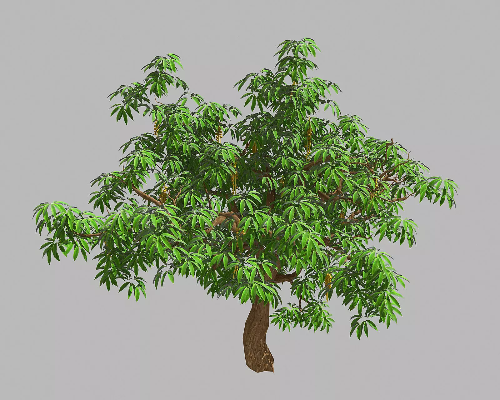 Sharp leaves - Tree 33 3D model_0