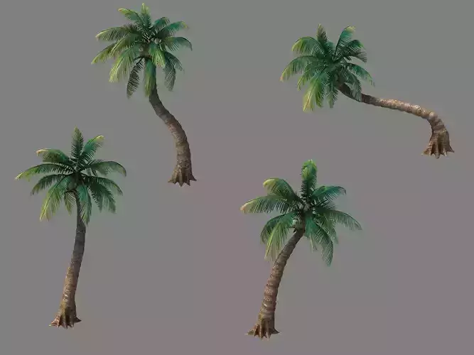 Kazlog shallow bay - tree 03