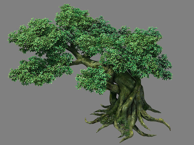Kazlog shallow bay - tree 04 3D model