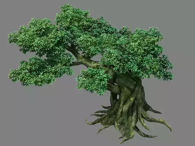 Kazlog shallow bay - tree 04 3D model