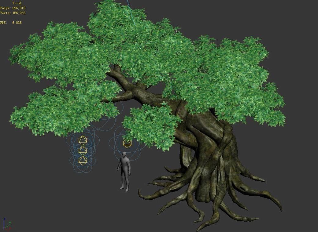 Kazlog shallow bay - tree 04 3D model_5