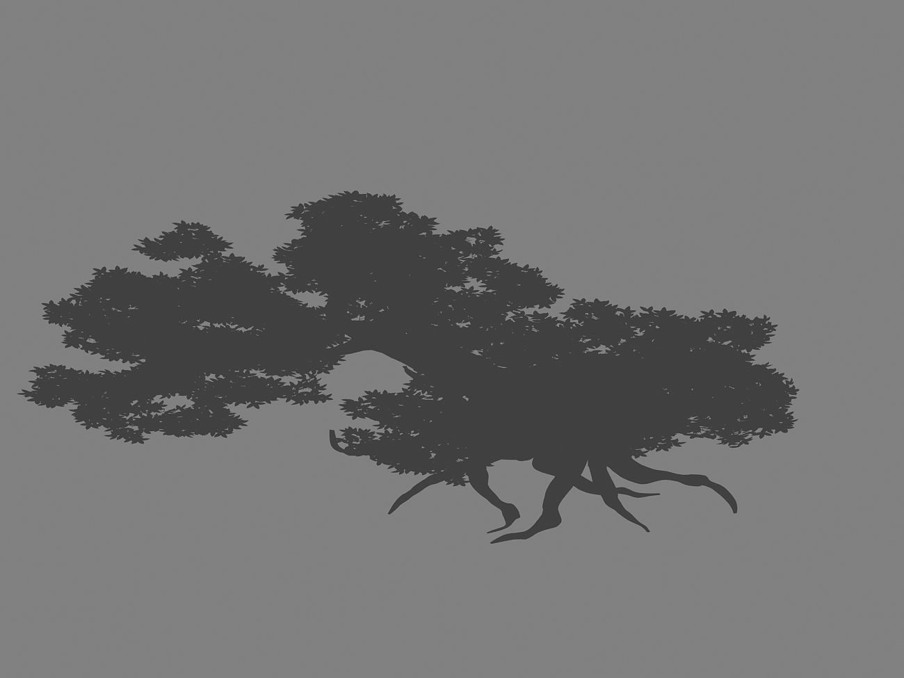 Kazlog shallow bay - tree 04 3D model_2