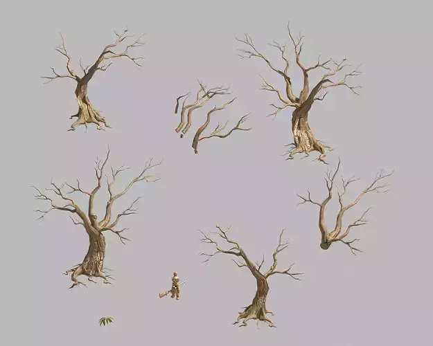 Dry trunk 64 3D model