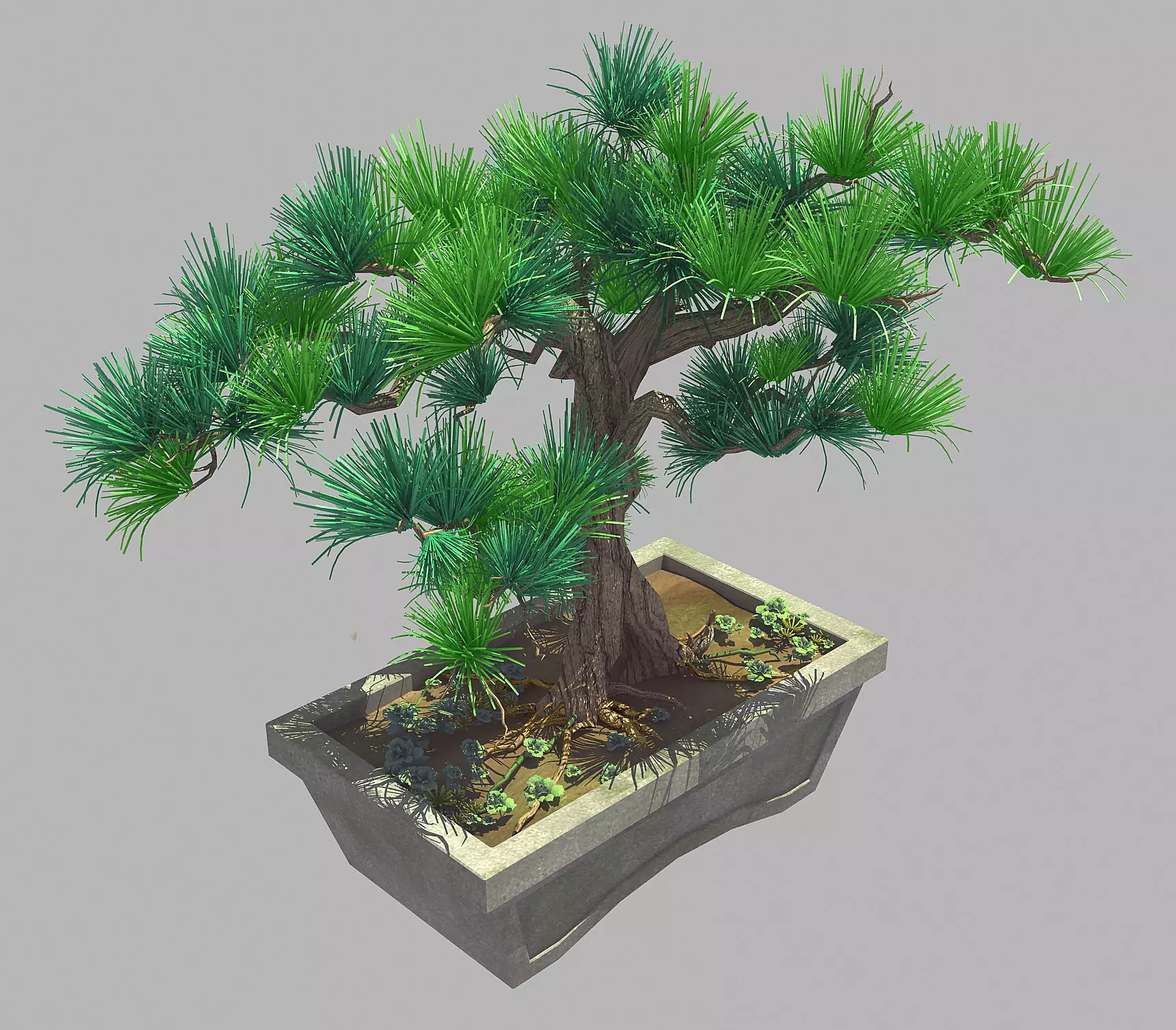 Bonsai - Flowerpot 39 3D model_0
