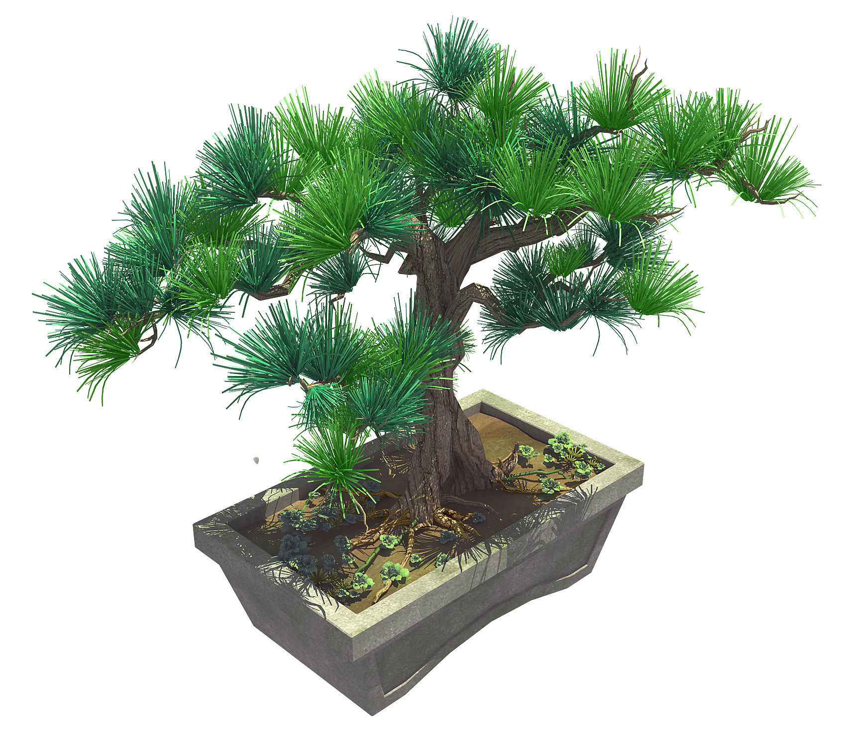 Bonsai - Flowerpot 39 3D model_1