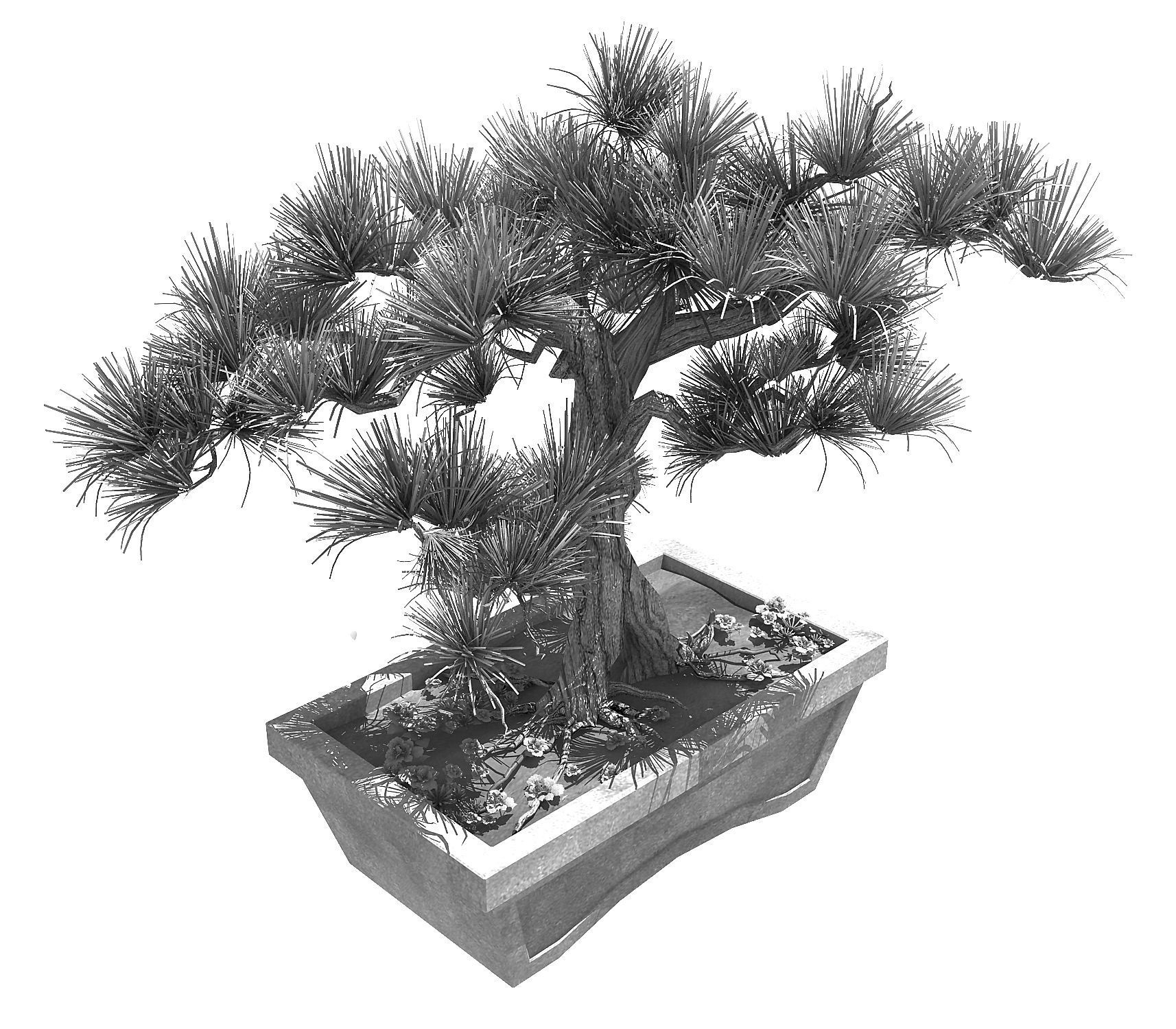 Bonsai - Flowerpot 39 3D model_2