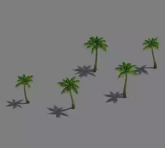 Tropical Plant - Coconut Tree 03