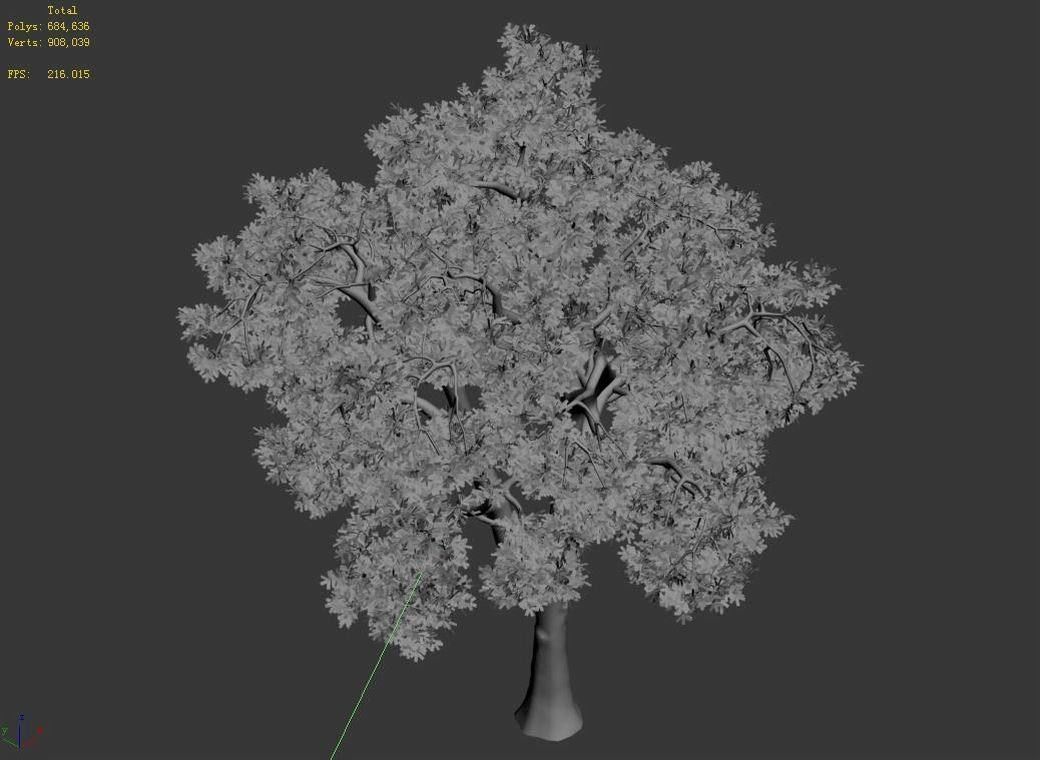 Forest - Ash Tree 54 3D model_4