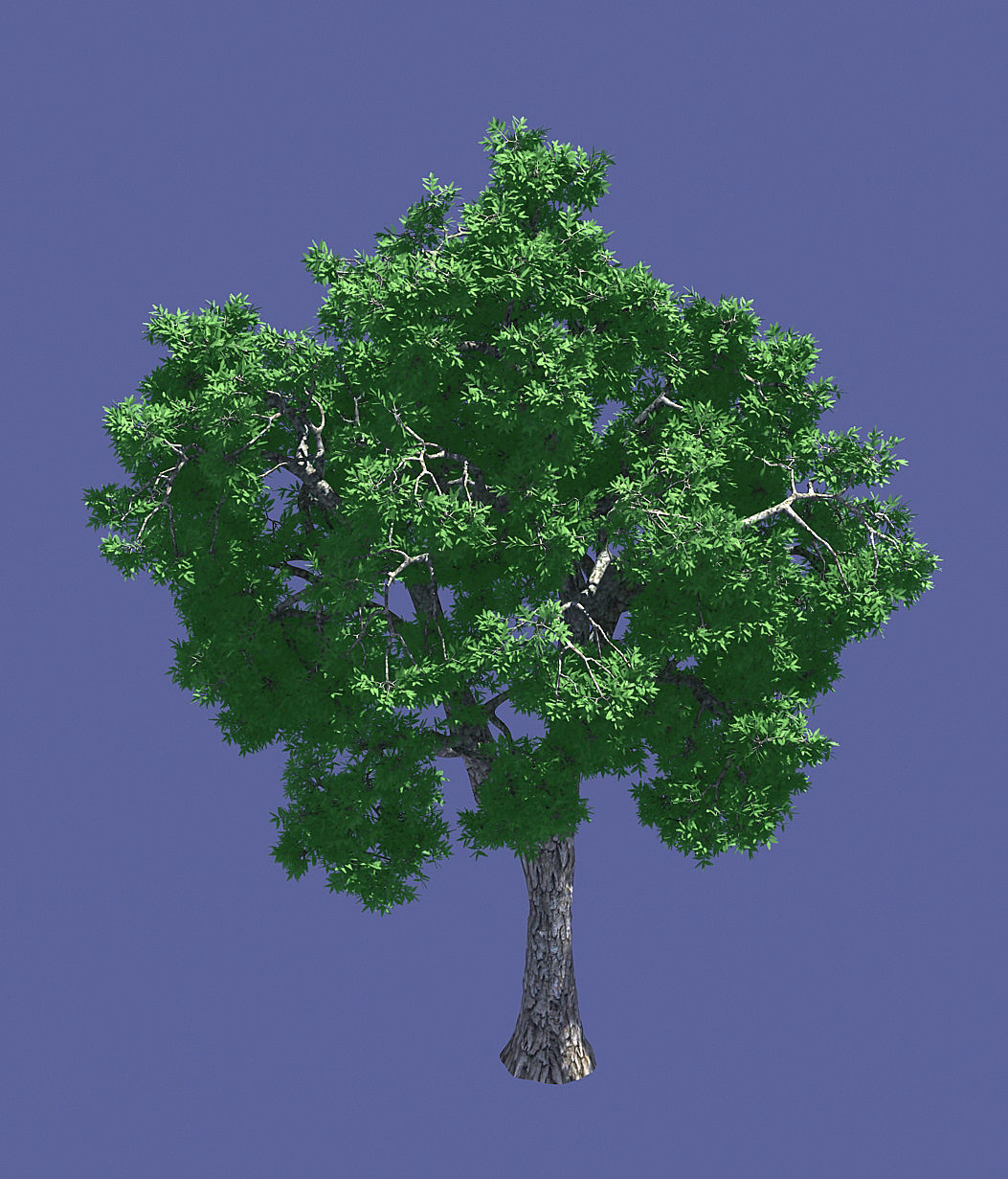 Forest - Ash Tree 54 3D model_1