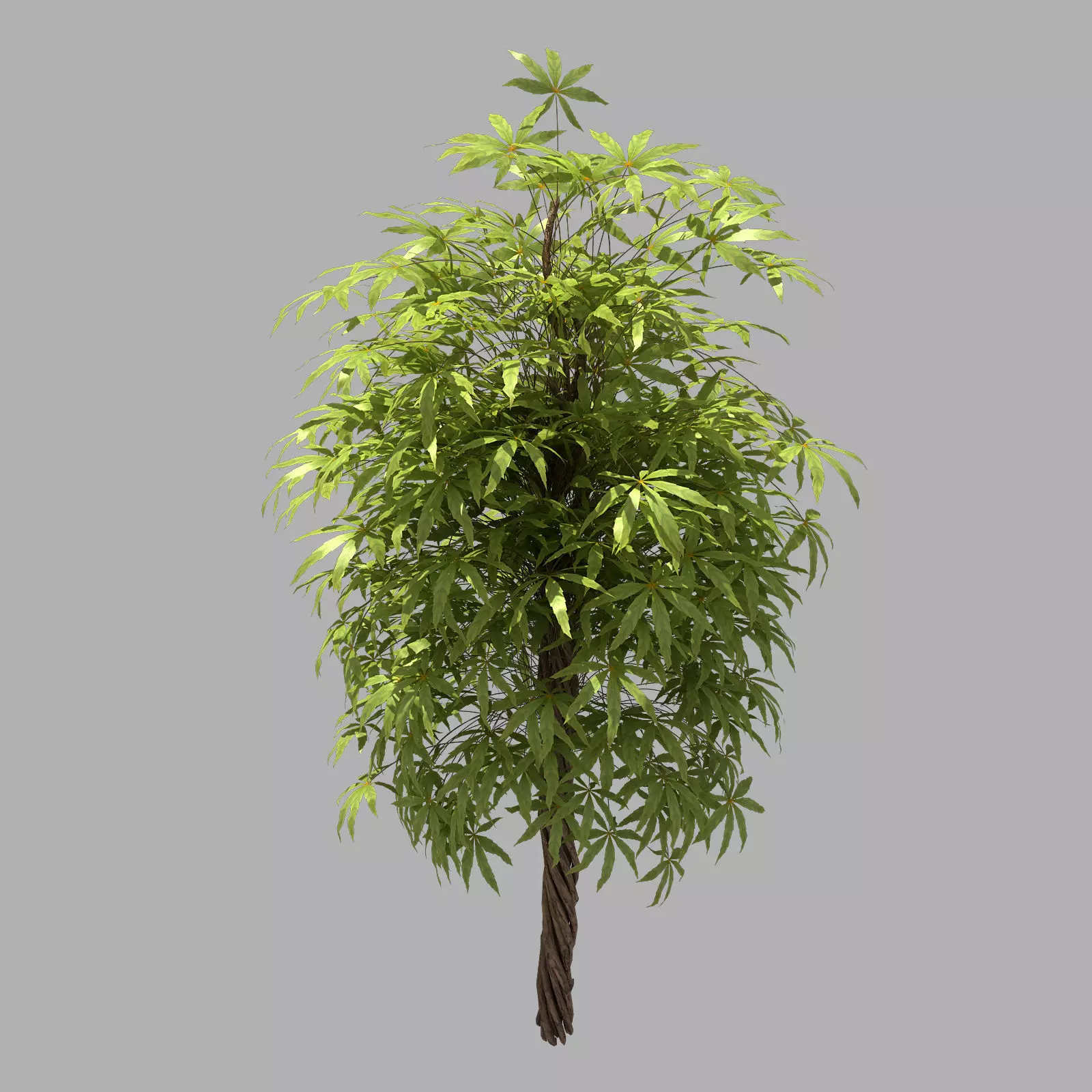 Forest - Sightseeing Trees 06 3D model_0