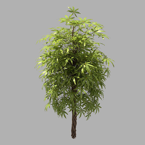 Forest - Sightseeing Trees 06 3D model