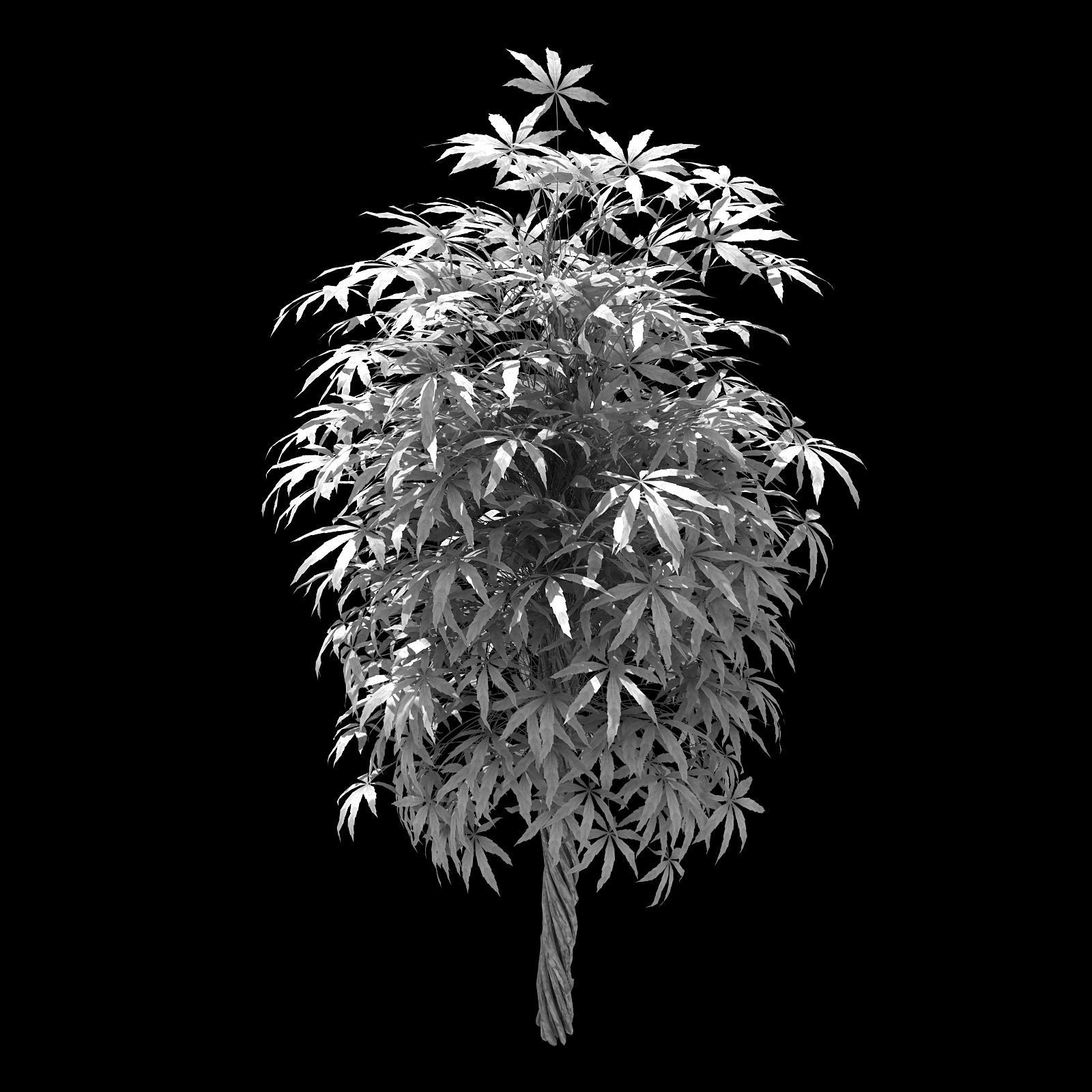 Forest - Sightseeing Trees 06 3D model_2