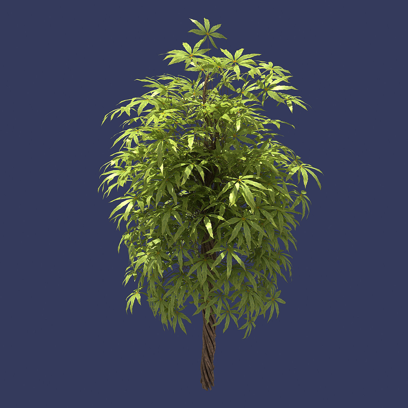 Forest - Sightseeing Trees 06 3D model_1